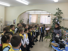 Мамина неделя 2"Б".