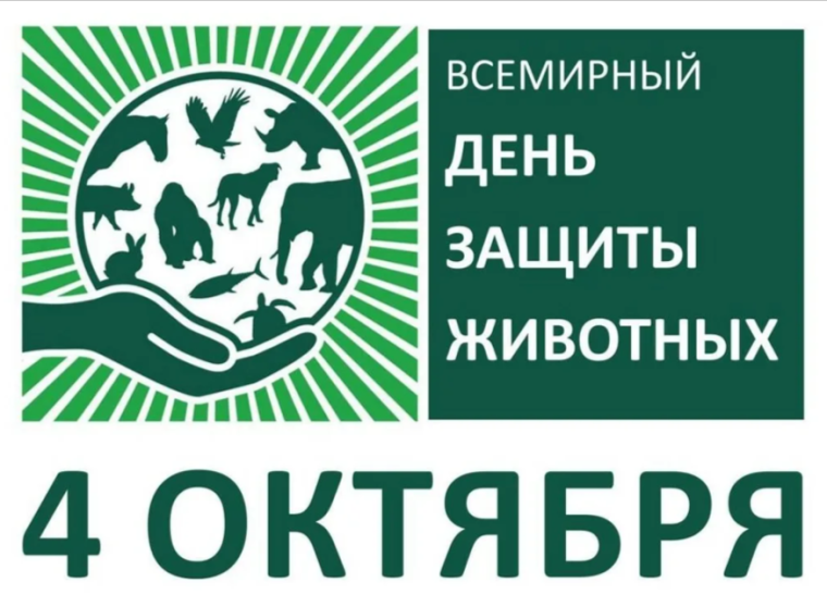 Участие школьной акции "100 Добрых дел" и Всероссийской акции "Дай лапу, друг".